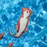 Игрушки поплавки Крокодил и выдра